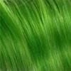 16" easiLites Human Hair Extensions (1 Piece) | Clip In Color | CLOSEOUT