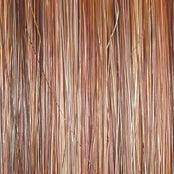Easy Does It Wig by Raquel Welch | Synthetic Lace Front (Mono)