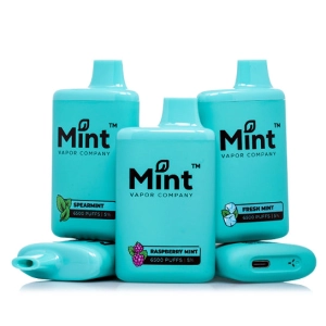 Mint Bars Disposable Vape - 6,500 Puffs