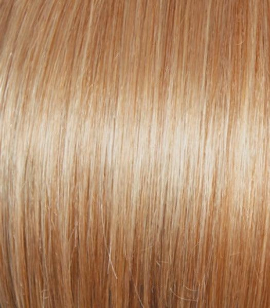 Own the Room Wig by Gabor | Heat Friendly Synthetic (Lace Front Mono)