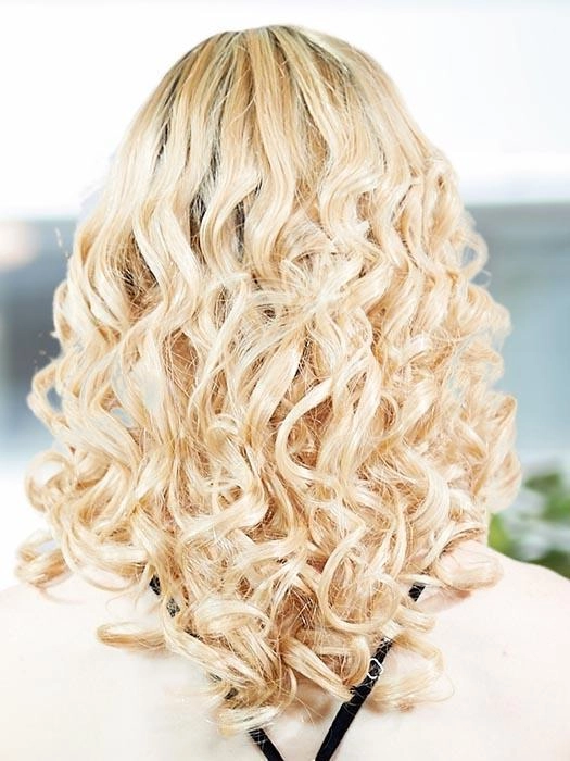 PLF 006HM by Louis Ferre | Long Human Hair Wig