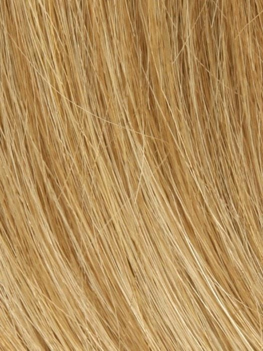 PLF 006HM by Louis Ferre | Long Human Hair Wig