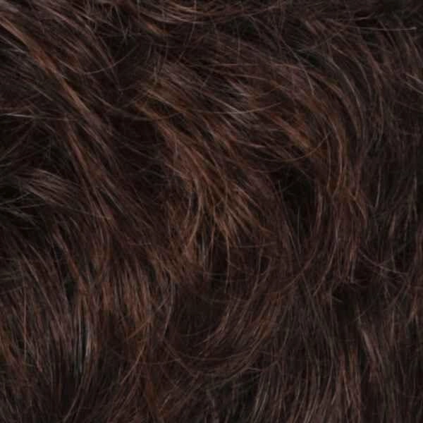 Ponytail Spring Clip WCLC9 Hairpiece by Estetica Designs | Synthetic