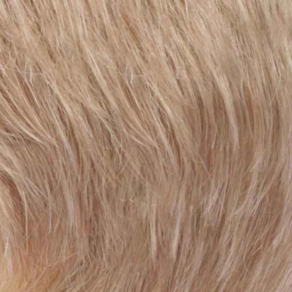 Ponytail Spring Clip WCLC9 Hairpiece by Estetica Designs | Synthetic