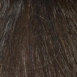 Tasha Wig by Envy | Synthetic (Mono Top)
