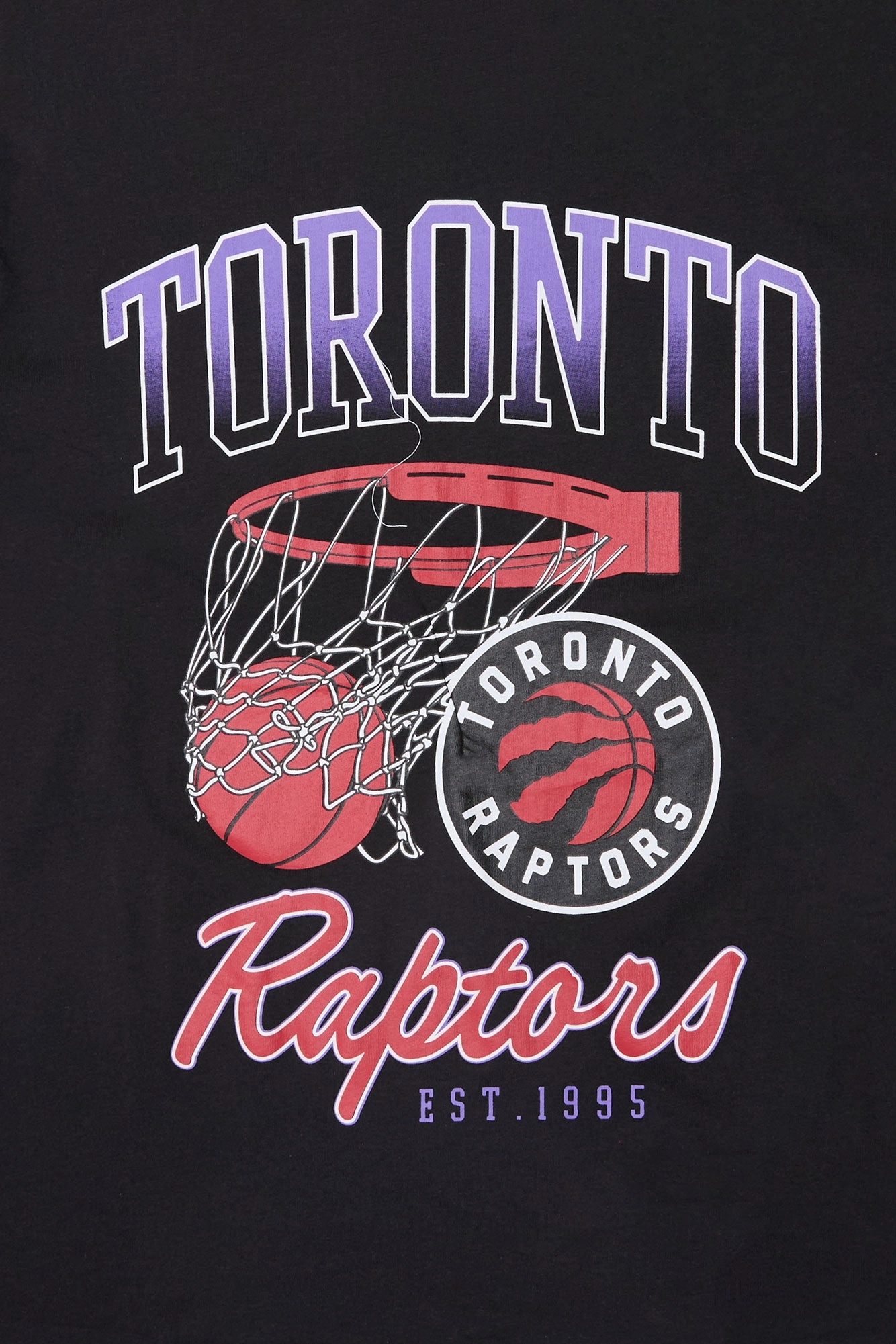 Toronto Raptors Graphic Boyfriend Tee